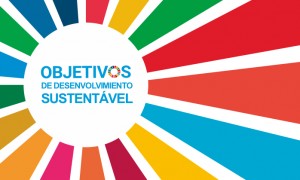 CNM participa de webinário sobre a implementação da Agenda 2030 no Brasil