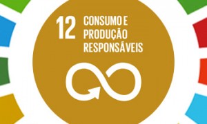 Conheça o ODS 12: consumo e produção responsáveis