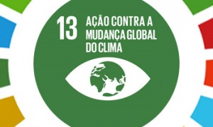 Conheça o ODS 13: mudanças climáticas