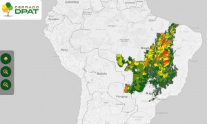 Plataforma de desmatamento do cerrado pode auxiliar 1.386 Municípios inseridos no bioma