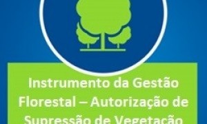 CNM publica nota técnica com orientações sobre supressão de vegetação