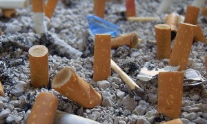 No Dia Mundial sem Tabaco, CNM orienta gestores sobre como trabalhar o tema