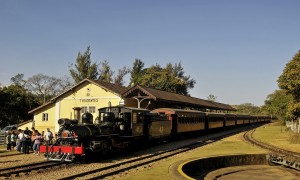 Instituído nesta sexta-feira, Programa Frota Ferroviária Verde prevê redução de emissão de gases de efeito estufa