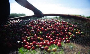 Edital seleciona roteiros turísticos para a segunda edição do projeto Experiências do Brasil Rural