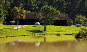 Turismo rural: área técnica da CNM articula ações para o segmento pós-pandemia