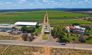 Capital da uva e do vinho do Nordeste, Lagoa Grande (PE) investe no turismo rural