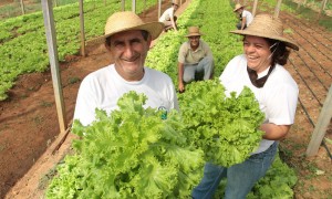 Promulgada lei que libera R$ 1,2 bilhão para agricultores atingidos pela seca